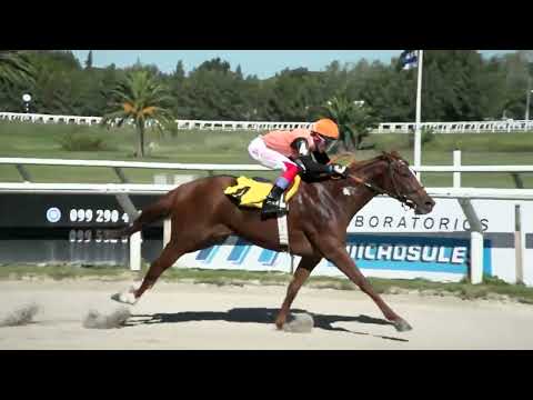 230429 c01 - MAGNIFIC TOUCH - HIPODROMO LAS PIEDRAS