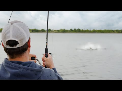 Chumming Live Bunker for Striped Bass | Narragansett Bay, Rhode Island | S19 E07