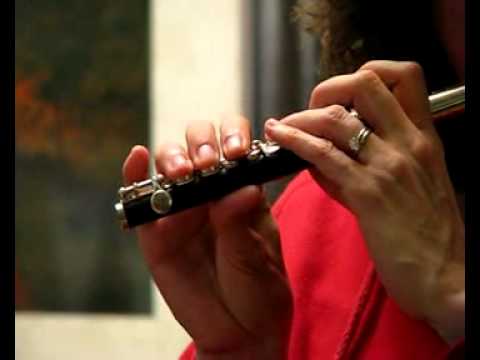 Woodwind P5 Grenadilla Wood Piccolo for Sale - Low Register