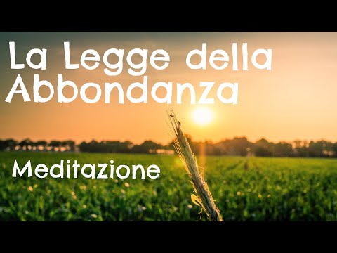 The Law of Abundance - Meditation: How to Bring Abundance into Your Life #carlolesma