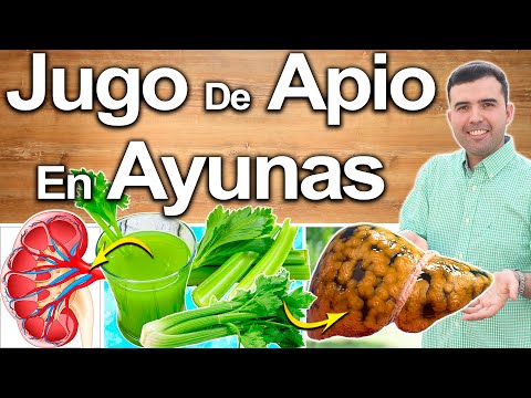 What's the Purpose of Eating Celery Juice on an Empty Stomach? - Benefits for Your Health and Beauty