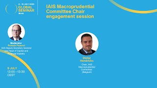 IAIS Global Seminar 2025 - Macroprudential Committee Chair engagement session