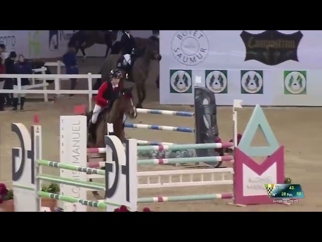 Caballo castrado sBs Caballo de Deporte Belga En venta 2019 Bayo por Heraldik Sitte