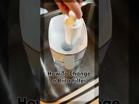 Brita Water Pitcher Filter Change  #shorts #food #cooking #cooking #home #diy #tips #tipsandtricks