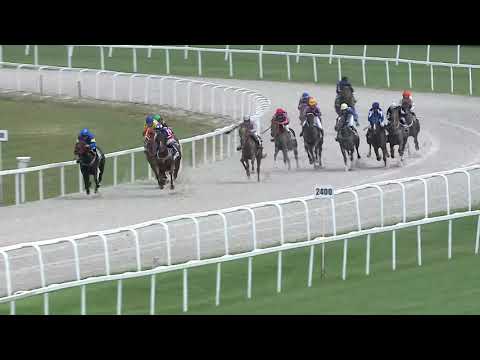 2019.06.23. 01. futam - BOGÁRZÓI HENDIKEP (V/b.) (szintetikus pálya)