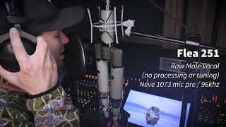 Video thumbnail for Telefunken 251 vs Flea 251 vs Bock audio 251.. How close REALLY are they?! by Lapwing Studio