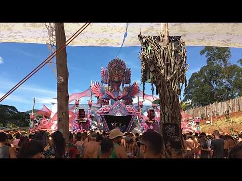 Braincell - ReveillOz 2019