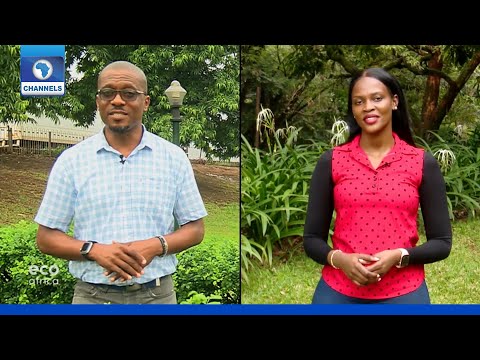 Eco@Africa | 25/10/2020