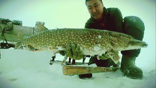 Рыбалка в якутии новое 2019