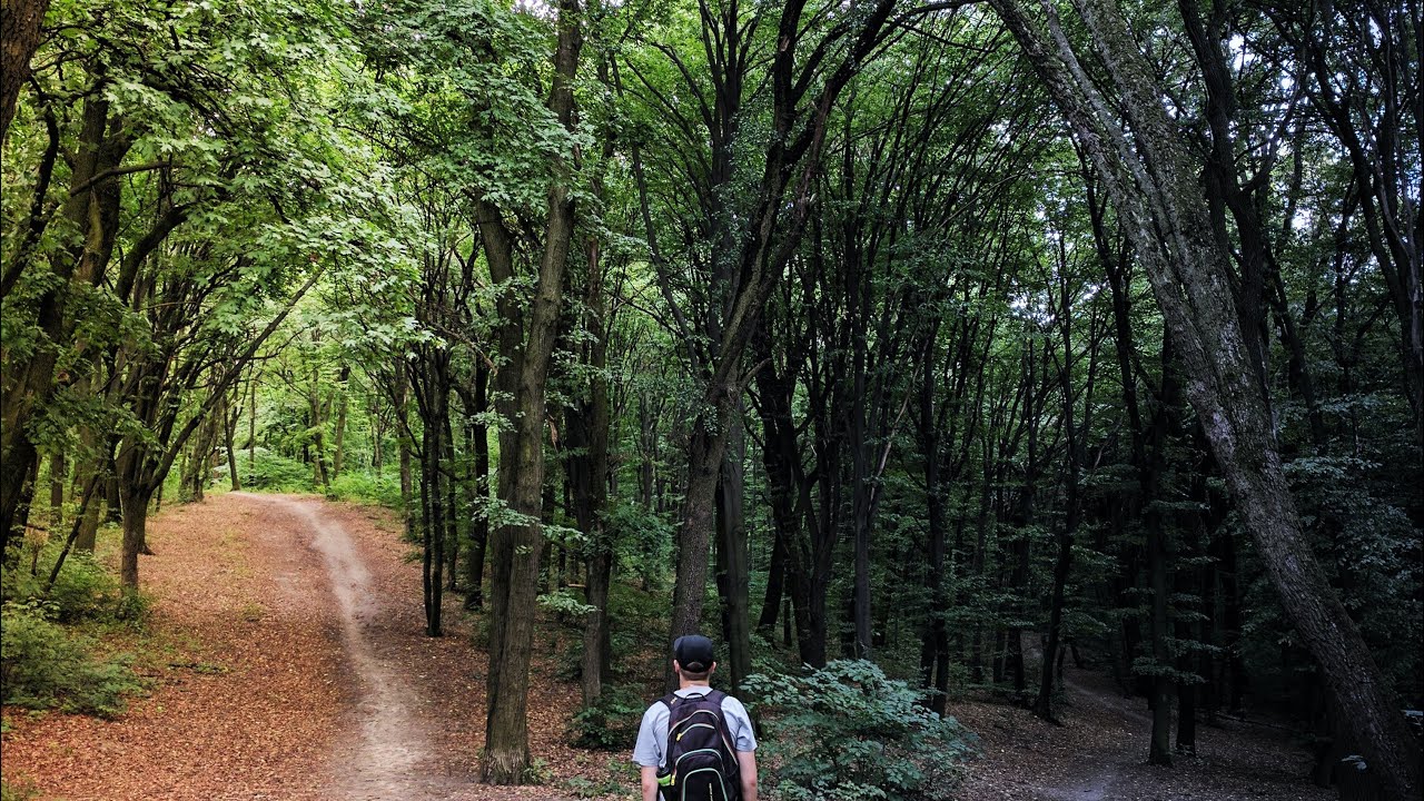 Gilberto Espino G.-44