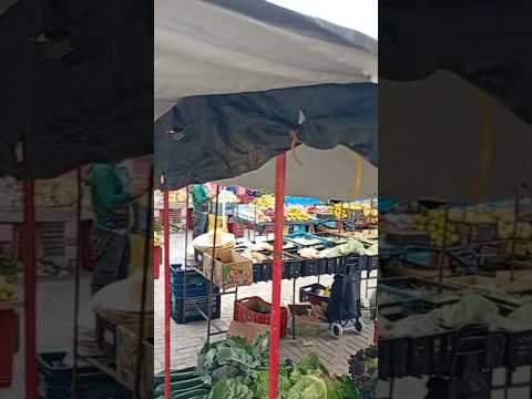 Feira de Carnaubal-Ce. #agricultor #animals #agriculturasustentavel