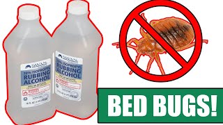 How to Kill Bed Bugs Completely using Alcohol - (Be sure to watch til the end)