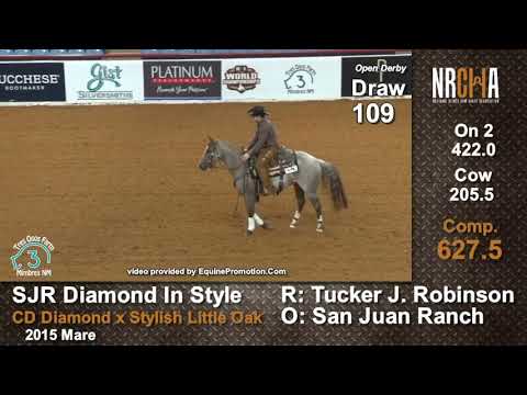Metallic Boon 2019  world show derby fence run