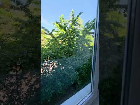 Apartament Modern cu 2 Camere de Închiriat | Zona Coresi -Aleea Trandafirilor — Video
