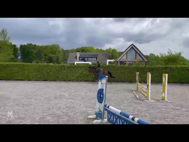 Riding movie at home Sedaldine.