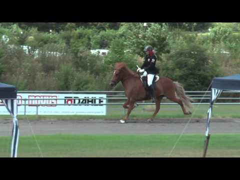 Tigull vom Kronshof, DIM10V1