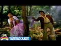 Driver Ramudu Movie Superhit Video Song Vangamaaku NTR Jayasudha Telugu Full Movies