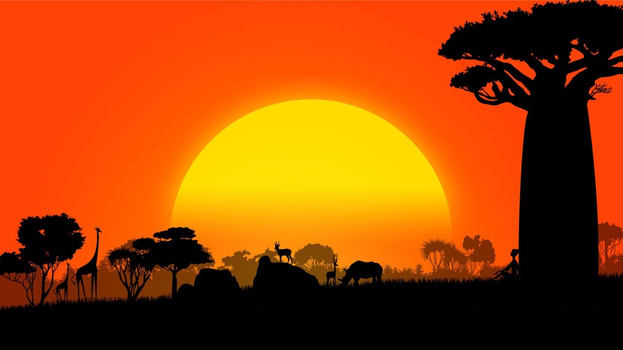 [MV] Adansonia - Meine Meinung