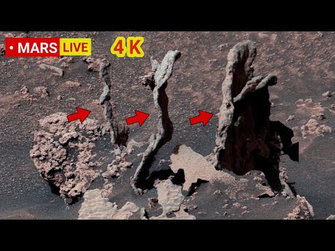Mars' Rover Sends Most Remarkable 360° Footage of Mars Geological Life! Perseverance & Curiosity 4K