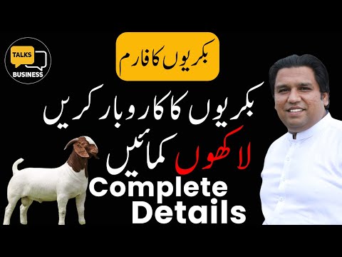 How to Start a Profitable Goat Farming Business in Pakistan | Complete Step-by-Step Guideline!!!