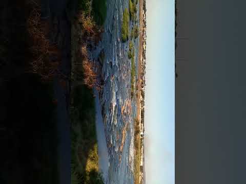 Rio São Francisco . Buritizeiro/MG