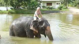 preview picture of video 'Khao Lak, Thailand.   Swimming with Elephant'