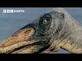 Iconic Dinosaur Moments From Walking With Dinosaurs 1999 BBC Earth