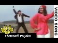 Rahasya Goodachari Full Video Songs Chettendi Poyaka Video Song Krishna Jayaprada