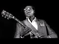 ALBERT KING - Live in Washington D.C. (1981) - Full Album