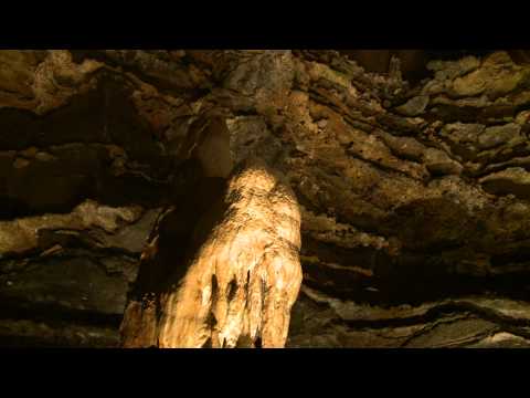 Programa Viagem pra Copa - Sudwala_Parque dos Dinossauros, África do Sul