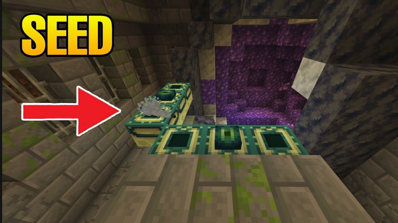 Minecraft Broken End Portal SEED (Broken seed) #shorts