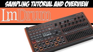 How to Sample with the Behringer LMDrum