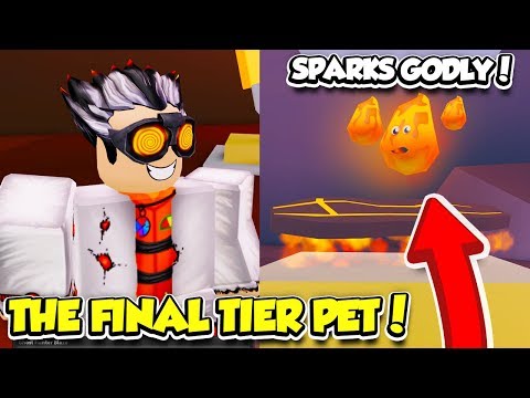 I GRINDED FOR 10 HOURS AND UNLOCKED THE FINAL QUEST PET IN GHOST SIMULATOR!! (Roblox)