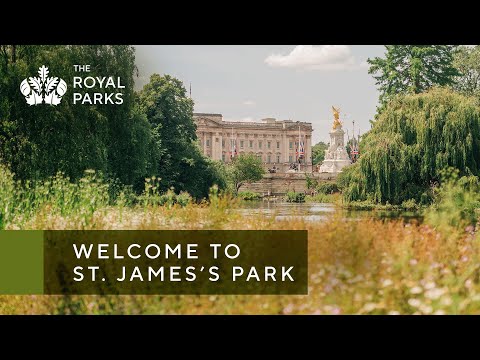 Discover St. James's Park, one of London’s Royal Parks