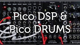 Erica Synths Pico Drums & Pico DSP Sound Demo