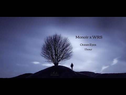 Monoir x WRS - Ocean Eyes 1 hour