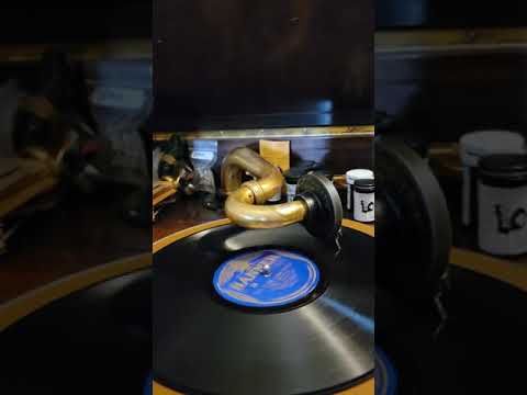 Put Your Arms Where They Belong - Irving Kaufman Banner Records #1918 1926