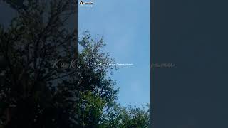 Download lagu lyric Merindukan mu - D'Masiv mp3 Download lagu lyric Merindukan mu - D'Masiv mp3