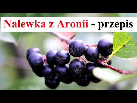 Nalewka z ARONII - Przepis