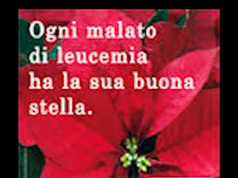 ONDA TG 5.12.2013 - STELLE DI NATALE AIL 2013 A SULMONA