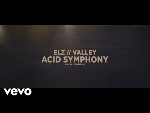 ELZ - Acid Symphony (Official Music Video) ft. VALLEY