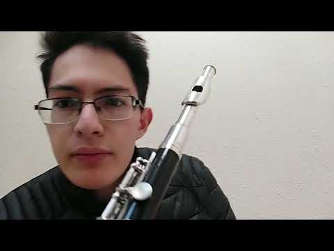 Piccolo Yamaha YPC-31 En Venta 🇲🇽