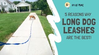 Why EVERY Owner Should Have a Long Dog Leash (aka a Long Line)
