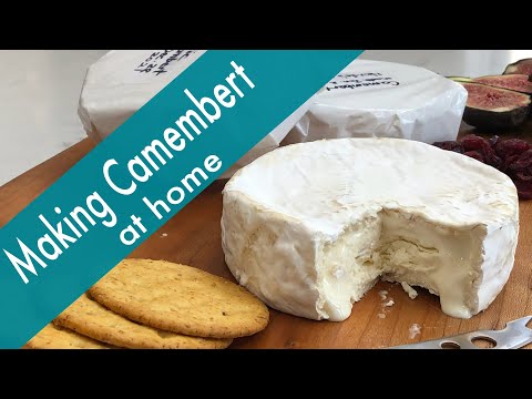 How to Make a Camembert-Style Cheese at Home