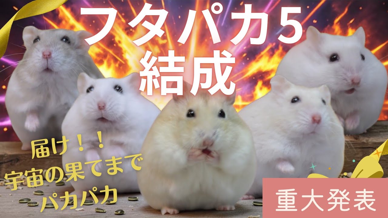 【重大発表】ついに「フタパカファイブ（5）」結成！全宇宙へフタパカ道を布教します