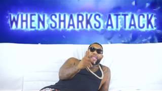 When Sharks Attack w/ Gorilla Zoe