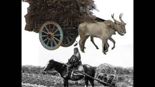 Seven Melody Men - Nobody Knows, Nobody Cares