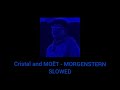 Cristal and MOËT - MORGENSTERN (Slowed)