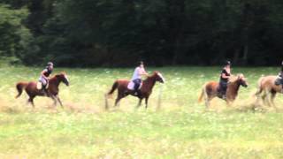 preview picture of video 'Angie's Ranch Buitenrit Tourtoirac Frankrijk 2014'