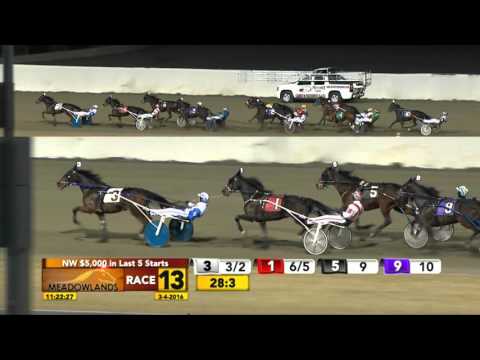 Meadowlands March 4, 2016 - Race 13 - Tea Party Politics